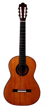 Guitarra de Torres, 1882